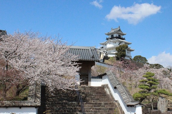 掛川城の桜
