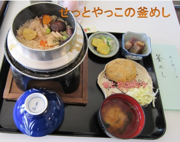 瀬戸谷視察研修2