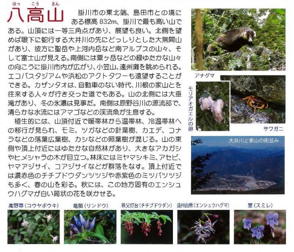 4八高山