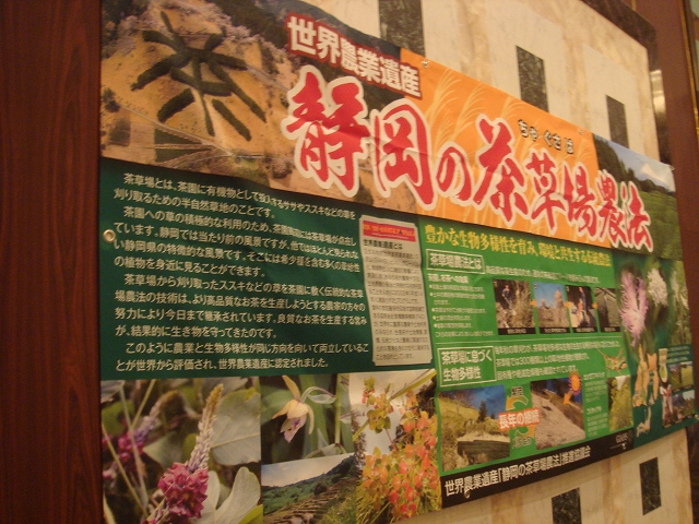 s-DSC04611