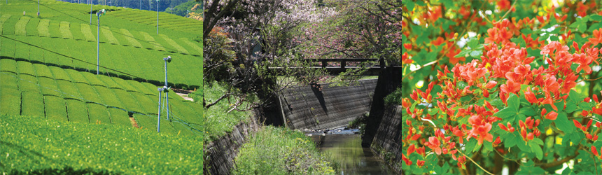 東山周辺の風景