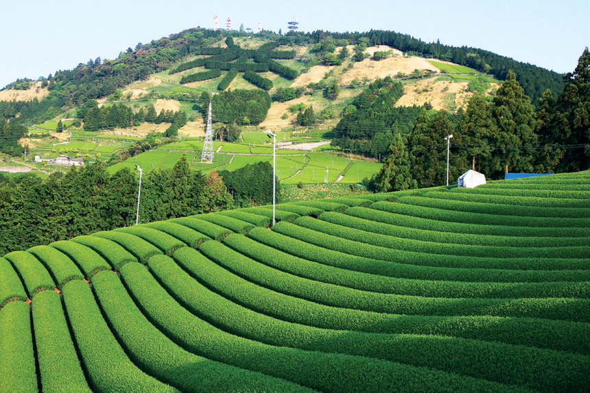 粟ヶ岳「茶」一文字