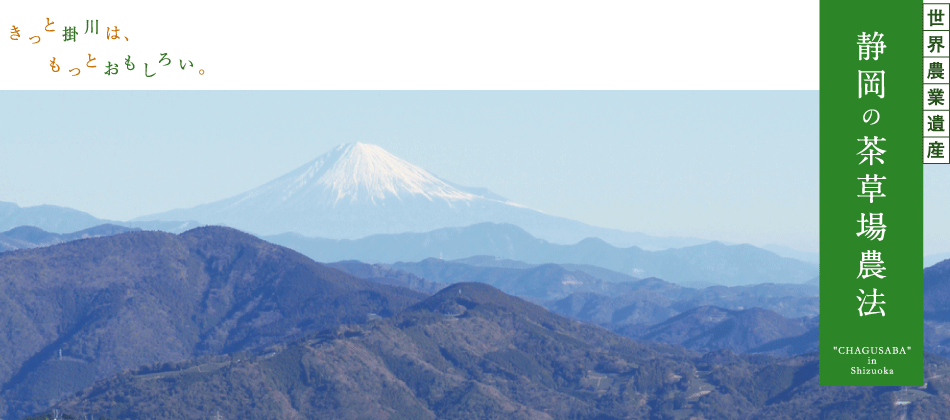 静岡の茶草場（掛川市）