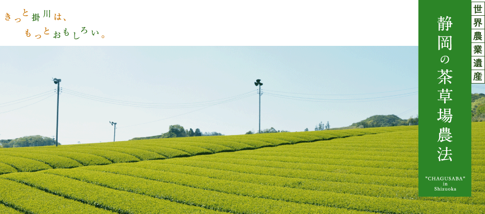 日本の世界農業遺産