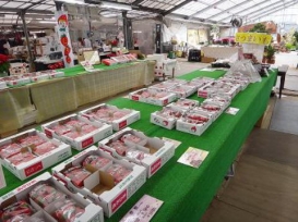 赤ずきんちゃんの おもしろ農園 掛川観光情報 観光と交流の町 静岡県掛川市 赤ずきんちゃんの おもしろ農園 掛川観光情報 観光と交流の町 静岡県掛川市