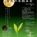 月夜のお茶摘み