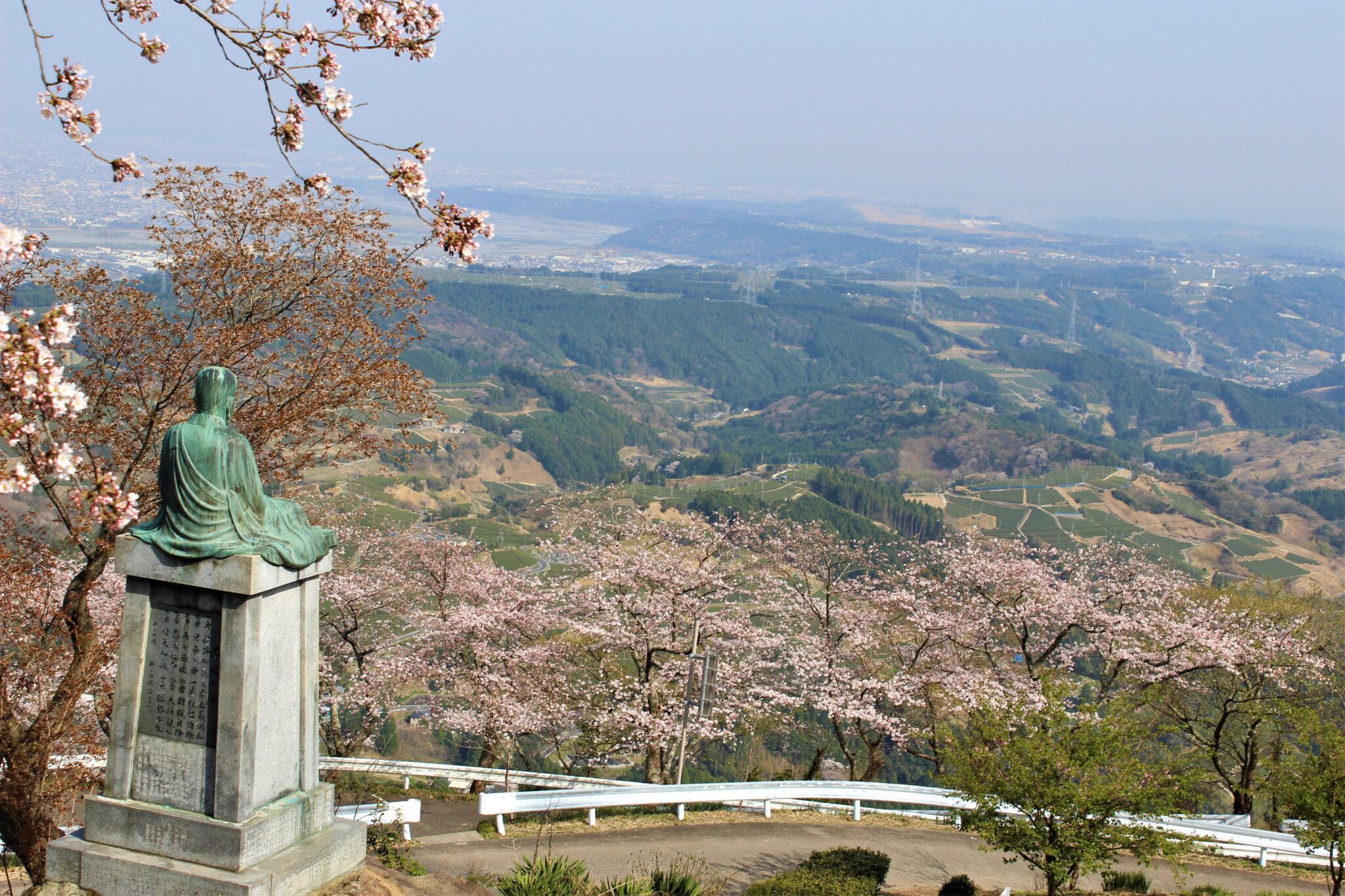 粟ヶ岳の桜が「とびっきり！しずおか」に登場予定 掛川観光情報 観光と交流の町「静岡県掛川市」
