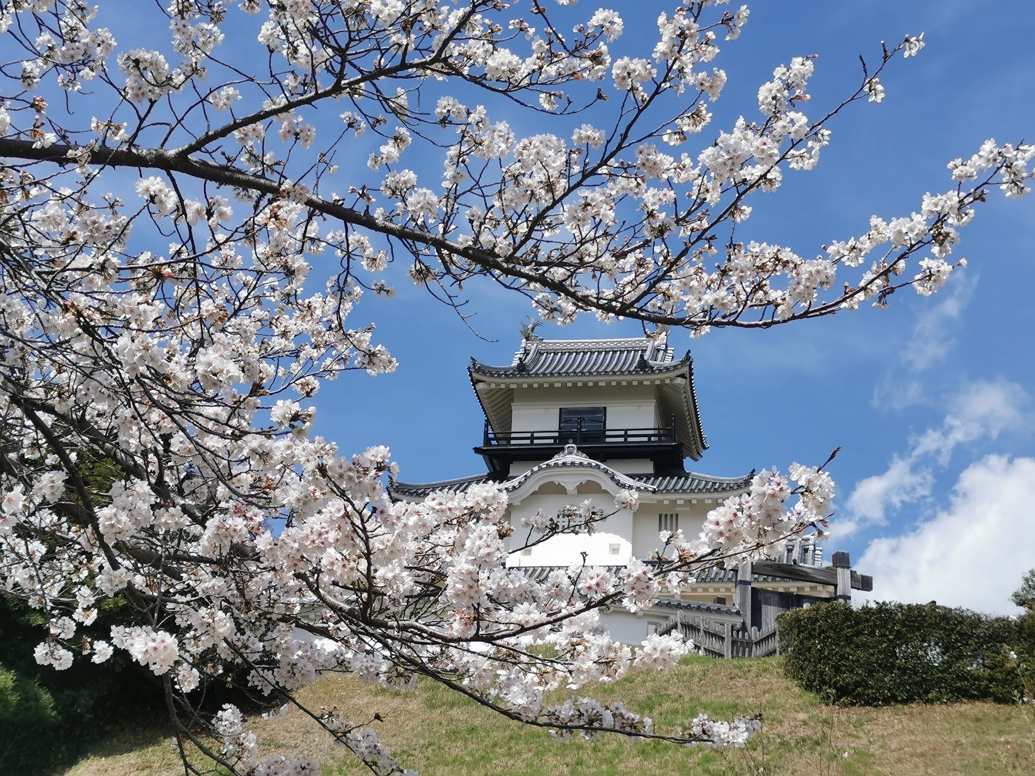 338499749_164788126471469_5235104683356956300_n 掛川観光情報 観光と交流の町「静岡県掛川市」